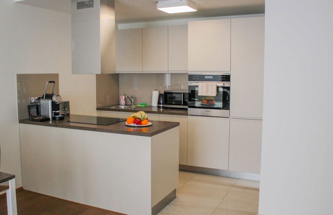 Rezidence Muzeum - Foto 10