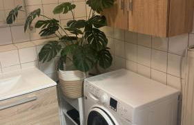 SweWasWohnung - Foto 13