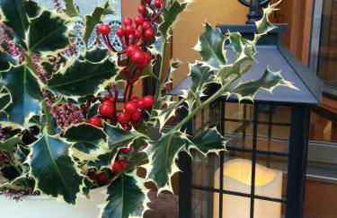 Casetta next to the Creek Dino Buzzati - Photo 54