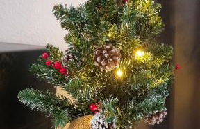 Apartment Hannover - Langenhagen center - Foto 24