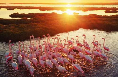 LE REGORDANE - Appartement 4 personnes - Centre WiFi Cosy - Foto 34