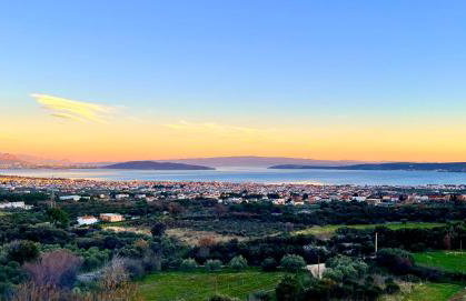 Villa Bepina, surrounded by sea, olive, vineyard - Photo 3