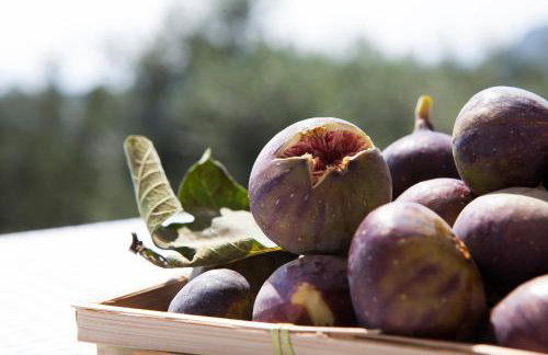 Villa Ella - Foto 35