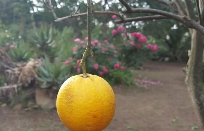 Casa Orsoni - Photo 66