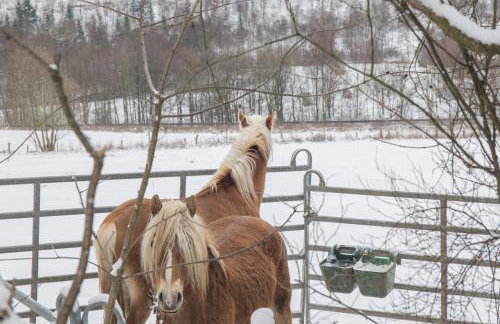 Appartement Mountain Escape 66 - Comfort & Uitzicht | Am Bergelchen 66 Niedersfeld Winterberg - Foto 29