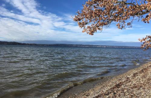Großzügige individuelle Wohnung am Starnberger See - Foto 36