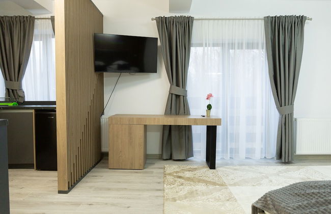 Frasin Studios-6 km to Voronet Monastery - Foto 13