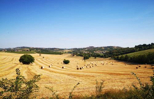 Il CHIOSTRO oasi di pace con antica cantina nel cuore del Monferrato Unesco - Foto 45