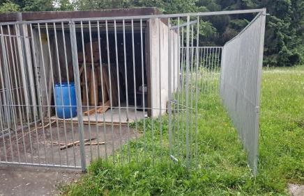 Altes Zollhaus im Wald - Foto 59