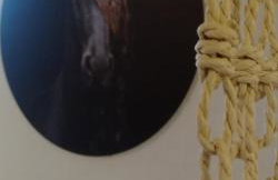 FriesenStee Unterkunft mit Infrarotsauna - Foto 10