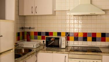 Apartamentos Catalina D - Foto 4, stove