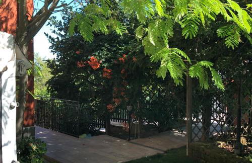 la casetta del tesoro - Foto 6