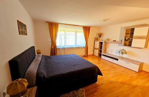 Ferienhaus-Drachenfels-Busenberg - Foto 24