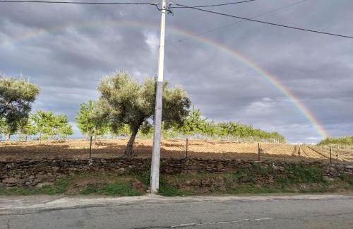 APOLINÁRIO - Foto 2