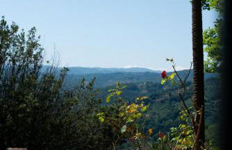 Dimora Belvedere - Foto 7