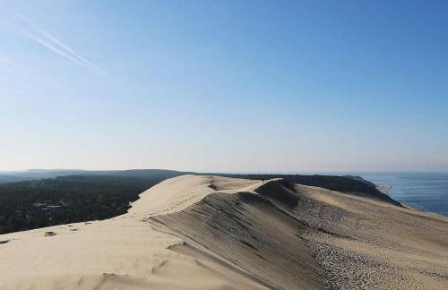 La petite Landaise - Foto 28