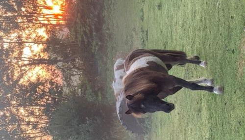 501 Meerzeit - Foto 2