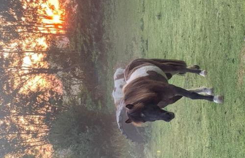 501 Meerzeit - Foto 2