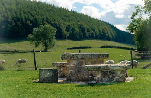 Experience the Peace & Quiet in the North York Moors at Rawcliffe House Farm - Foto 19