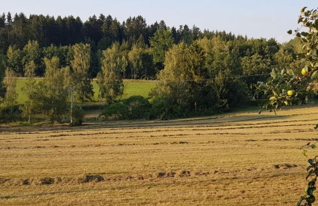 Ferienhof Löw - Photo 14