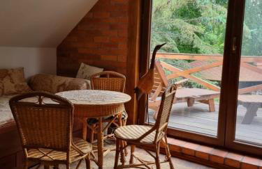 Dziki brzeg Jezioraka - Foto 9