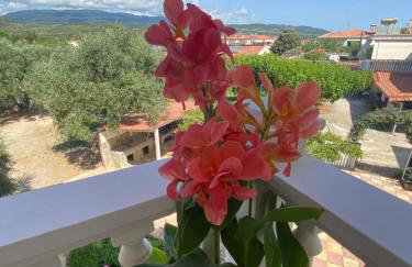 Tsatsoni Studios - Foto 12