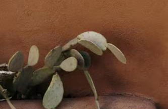 Group Getaway: Serene Adobe Retreat 4-11 guests - Foto 23