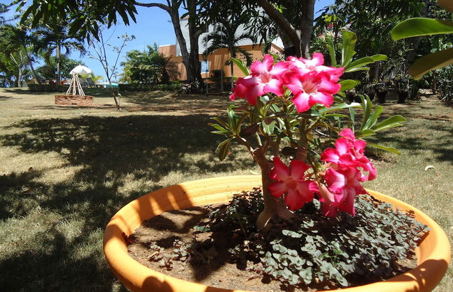 Villa Victoria - Photo 34