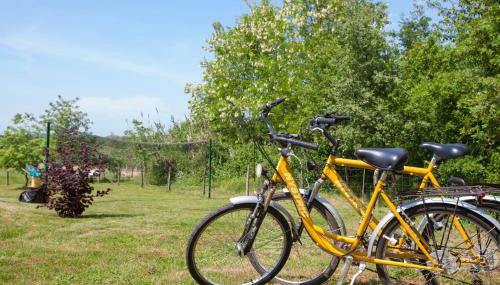 Relax in nature villa Mugeba Club - Foto 5, Garden