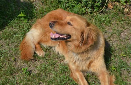 Agroturystyka Burylowka - Foto 78