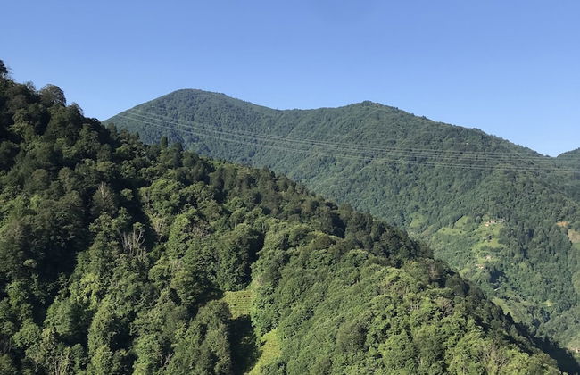 Baraka bungalov - Foto 29