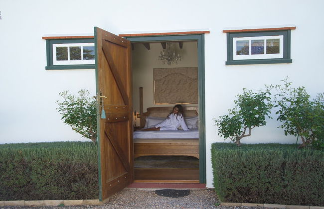 Welgelegen Manor - Photo 9