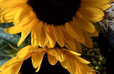 Ferienwohnung "Auszeit" - Photo 57