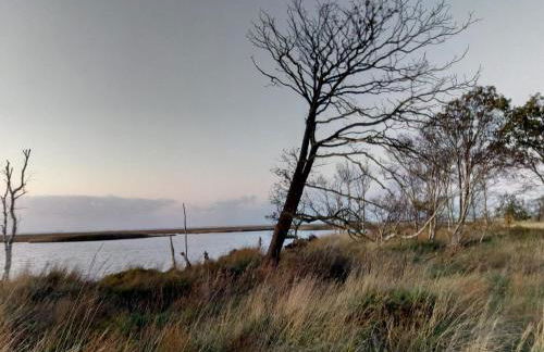 Haus JadeMuschel - behagliches Haus mit Aussicht - Photo 18