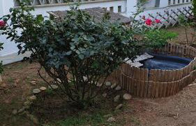 Galazio Kyma - Foto 17