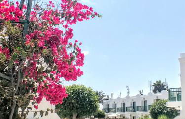 Buganvilla - Photo 27