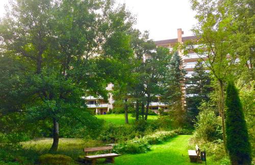 Comfort-Apartment - Foto 27