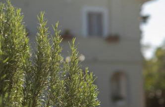 Rosmaris - Villa nel verde - Foto 27