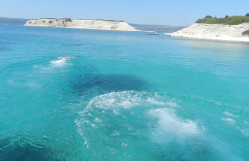 Fotis Apartments - Foto 4