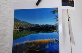 L'esquirol ! - Foto 16