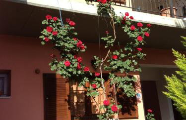 Artemis Apartments - Photo 47