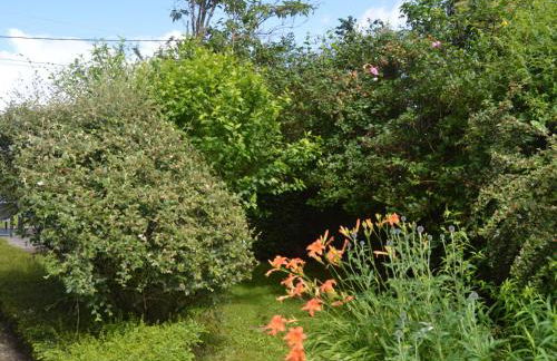 Maison de campagne calme avec jardin, proche du Zoo de Beauval et châteaux de la Loire - FR-1-591-84 - Photo 9