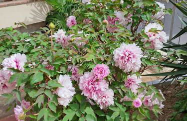 MADI' casa vacanze - Foto 2