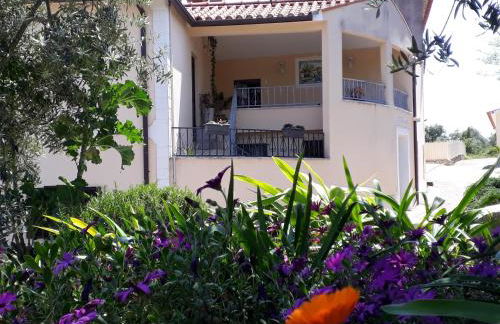 Casa de Amigos - Foto 1