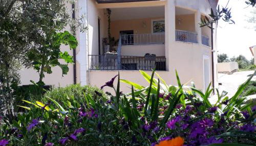 Casa de Amigos - Foto 1