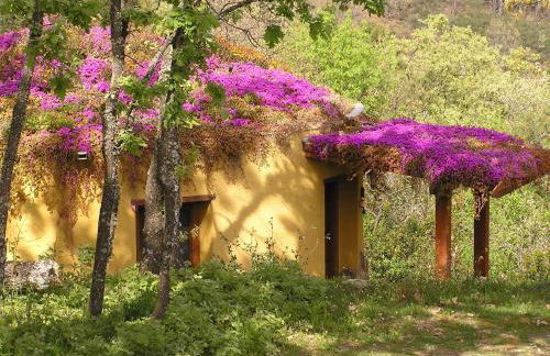 Apartamentos Rurales Ecopangea - Foto 30