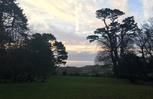 Penmorvah Manor Hotel - Foto 56