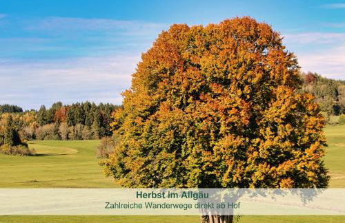 Chalet - Ferienwohnungen - Biohof Stöger - Panoramasüdbalkon - grandiose Aussicht auf See, Berge und Schloss Neuschwanstein - Foto 39