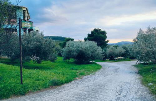 STONE of KAMARIZA - Foto 72