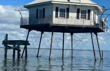 Playing Hookie LLC - Foto 41